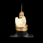 Pre-Colombian Gold & Obsidian Labret Masterpiece // Colombia Ca. 800-1500 AD