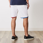 Ashton Color Block Lounge Shorts // White (XL)
