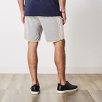 Cameron Color Block Lounge Shorts // Heather Gray (S)