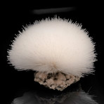 Scolecite