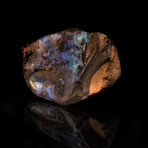 Boulder Opal // Ver. II