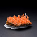 Crocoite