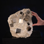 Pyrite Cubes in Matrix