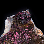 Erythrite // Ver. I