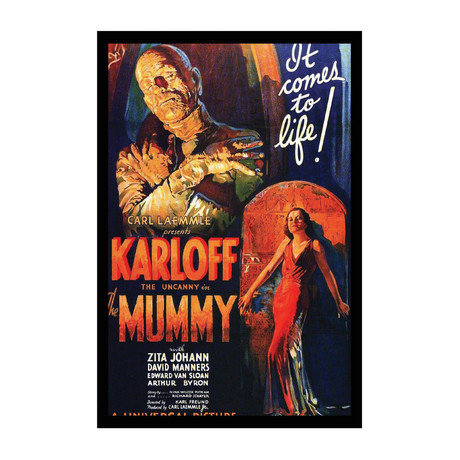 Vintage Movie Poster // The Mummy