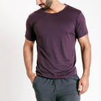 Astral T-Shirt // Fig (S)