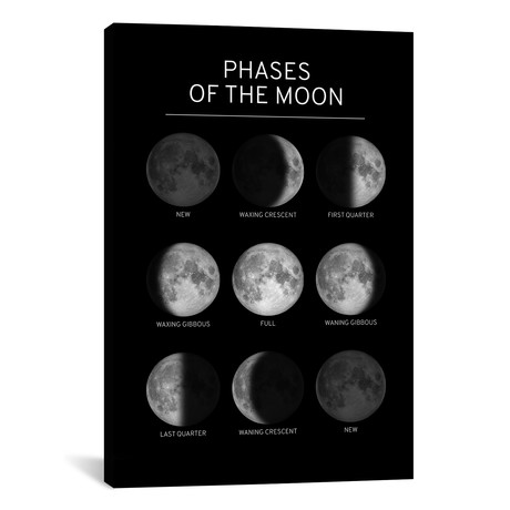Phases of the Moon Chart // Black (18"W x 26"H x 0.75"D)