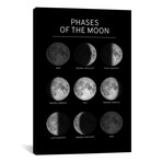 Phases of the Moon Chart // Black (18"W x 26"H x 0.75"D)