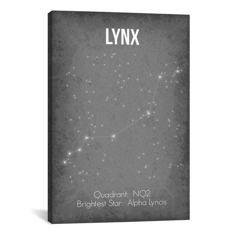 Lynx (18"W x 26"H x 0.75"D)