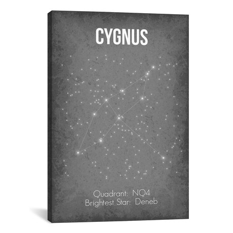 Cygnus (18"W x 26"H x 0.75"D)