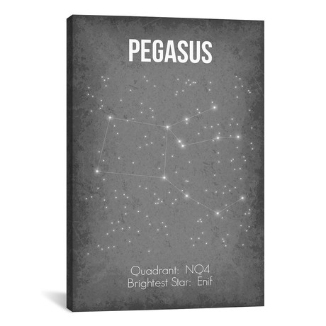Pegasus (18"W x 26"H x 0.75"D)