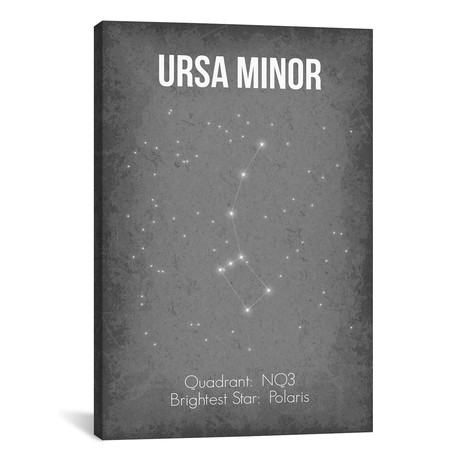 Ursa Minor (18"W x 26"H x 0.75"D)