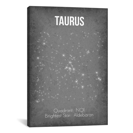 Taurus (18"W x 26"H x 0.75"D)