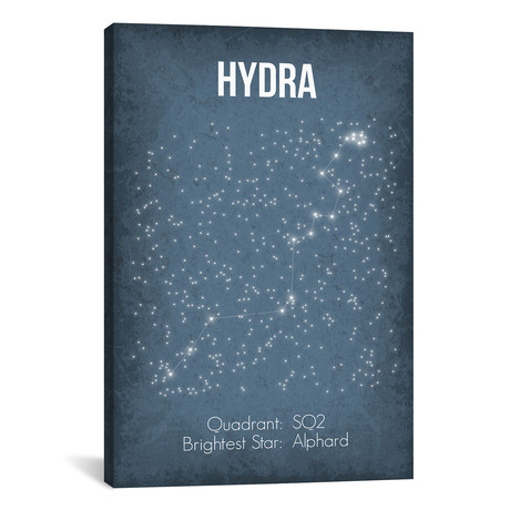 Hydra (18"W x 26"H x 0.75"D)