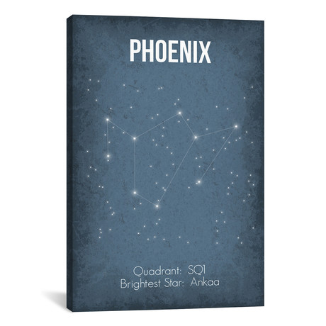 Phoenix (18"W x 26"H x 0.75"D)
