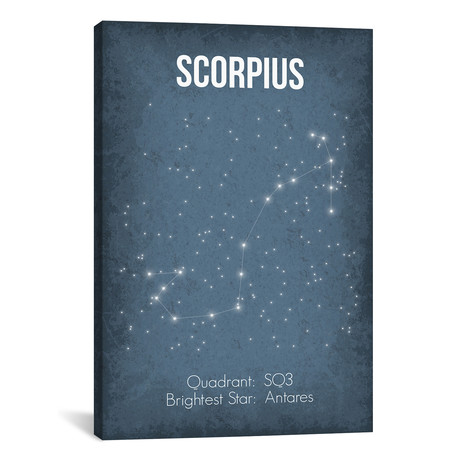 Scorpius (18"W x 26"H x 0.75"D)