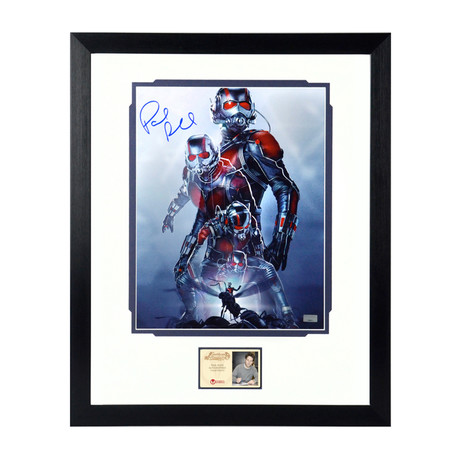 Paul Rudd // Ant-Man // Framed