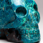 Genuine Polished Chrysocolla Skull // I