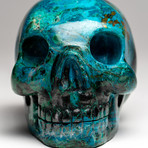Genuine Polished Chrysocolla Skull // II