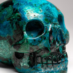 Genuine Polished Chrysocolla Skull // II