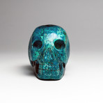 Genuine Polished Chrysocolla Skull // I