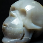 Genuine Polished Agate Skull