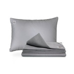 Alpha™ Self-Cleaning Sheets Deluxe Silver Set // Standard Pillows (Queen)