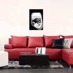 View Airplane // Danilo de Alexandria