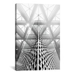 Pattern Windows XXX // Danilo de Alexandria