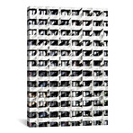 Pattern Windows XIV // Danilo de Alexandria