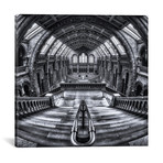 Harry Potter Meets Escher And Darwin // Massimo Cuomo (18"W x 18"H x 0.75"D)