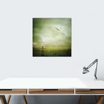 Sarolta Ban Canvas Print // #16 (18"W x 18H" x 0.75"D)