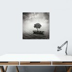 Sarolta Ban Canvas Print // #27 (18"W x 18H" x 0.75"D)