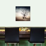 Sarolta Ban Canvas Print // #29 (18"W x 18H" x 0.75"D)