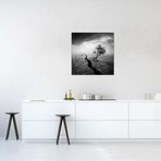 Sarolta Ban Canvas Print // #22 (18"W x 18H" x 0.75"D)