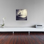 Sarolta Ban Canvas Print // #44 (18"W x 18H" x 0.75"D)