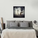 Sarolta Ban Canvas Print // #49 (18"W x 18H" x 0.75"D)