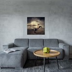 Sarolta Ban Canvas Print // #63 (18"W x 18H" x 0.75"D)