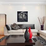 Sarolta Ban Canvas Print // #52 (18"W x 18H" x 0.75"D)