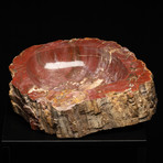 Petrified Wood Bowl