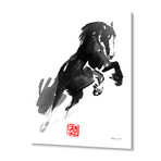 Jumping Horse // Aluminum Print (16"W x 20"H x 1.5"D)