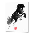 Jumping Horse // Canvas (16"W x 24"H x 1.5"D)