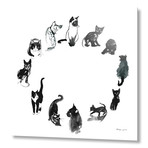 Cat Round // Aluminum Print (16"W x 20"H x 1.5"D)