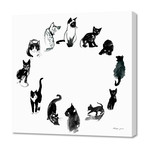 Cat Round // Canvas (16"W x 16"H x 1.5"D)