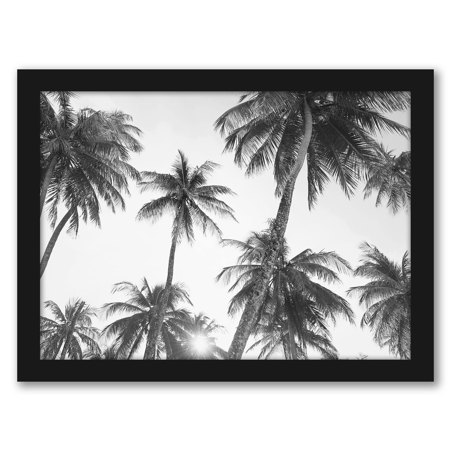 Black & White Photography Framed Gallery Wall Set II - AmericanFlat