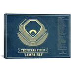Tampa Bay Tropicana Field // Cutler West (26"W x 18"H x 0.75"D)