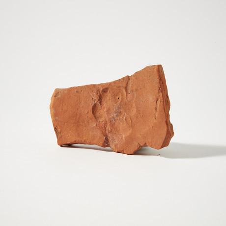 Roman Dog Footprint // 1st-3rd century AD // Terracotta Tile