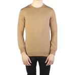 Virgin Wool Embroidered Crewneck Sweater // Brown (Small)