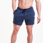 Icon Tapered Shorts // Navy Wash (L)