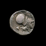 Greek Silver Coin, Athena & Pegasus // 4th Century BC